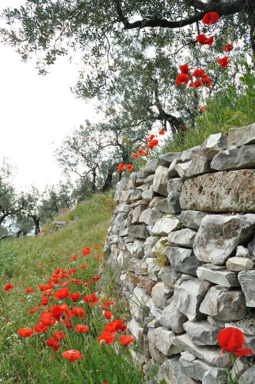 Agriturismo "Antico Frantoio" Foligno Bagian luar foto
